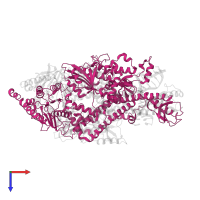 DNA mismatch repair protein Msh6 in PDB entry 2o8c, assembly 1, top view.