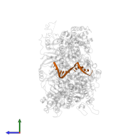 5'-D(*CP*CP*TP*AP*GP*CP*CP*TP*GP*CP*GP*GP*TP*TP*C)-3' in PDB entry 2o8e, assembly 1, side view.