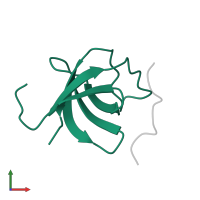 Sorbin and SH3 domain-containing protein 1 in PDB entry 2o9v, assembly 1, front view.