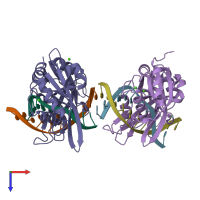 PDB entry 2oaa coloured by chain, top view.