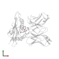 peptide (GLN)(LEU)(SER)(PRO)(PHE)(PRO)(PHE)(ASP)(LEU) in PDB entry 2oi9, assembly 1, front view.