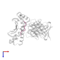 peptide (GLN)(LEU)(SER)(PRO)(PHE)(PRO)(PHE)(ASP)(LEU) in PDB entry 2oi9, assembly 1, top view.