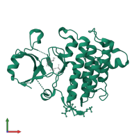 Interleukin-1 receptor-associated kinase 4 in PDB entry 2oid, assembly 1, front view.