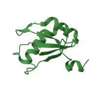 The deposited structure of PDB entry 2oih contains 1 copy of SCOP domain 54929 (Canonical RBD) in U1 small nuclear ribonucleoprotein A. Showing 1 copy in chain B [auth A].