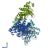 PDB entry 2olk coloured by chain, side view.