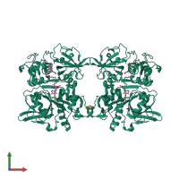 Homo tetrameric assembly 3 of PDB entry 2op3 coloured by chemically distinct molecules, front view.