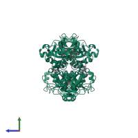 Homo tetrameric assembly 3 of PDB entry 2op3 coloured by chemically distinct molecules, side view.