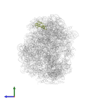 Large ribosomal subunit protein eL31 in PDB entry 2otl, assembly 1, side view.