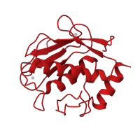 The deposited structure of PDB entry 2oy2 contains 2 copies of CATH domain 3.40.390.10 (Collagenase (Catalytic Domain)) in Neutrophil collagenase. Showing 1 copy in chain A.