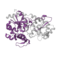 The deposited structure of PDB entry 2p6p contains 2 copies of Pfam domain PF21036 (Erythromycin biosynthesis protein CIII-like, N-terminal domain) in Glycosyl transferase. Showing 1 copy in chain A.
