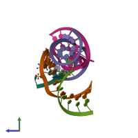 Hetero pentameric assembly 1 of PDB entry 2p7e coloured by chemically distinct molecules, side view.