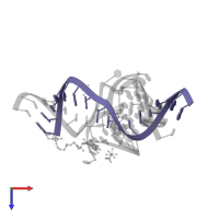 Ribozyme strand II in PDB entry 2p7e, assembly 1, top view.