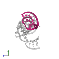 Ribozyme strand III in PDB entry 2p7e, assembly 1, side view.
