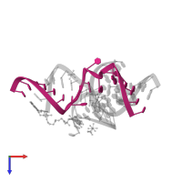 Ribozyme strand III in PDB entry 2p7e, assembly 1, top view.