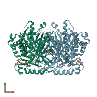 PDB entry 2p8u coloured by chain, front view.