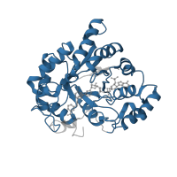 The deposited structure of PDB entry 2pdc contains 1 copy of Pfam domain PF00248 (Aldo/keto reductase family) in Aldo-keto reductase family 1 member B1. Showing 1 copy in chain A.