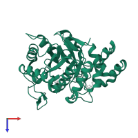 Aldo-keto reductase family 1 member B1 in PDB entry 2pdj, assembly 1, top view.