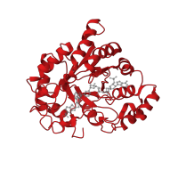 The deposited structure of PDB entry 2pdm contains 1 copy of CATH domain 3.20.20.100 (TIM Barrel) in Aldo-keto reductase family 1 member B1. Showing 1 copy in chain A.