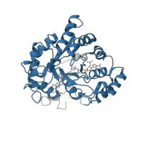 The deposited structure of PDB entry 2pdm contains 1 copy of Pfam domain PF00248 (Aldo/keto reductase family) in Aldo-keto reductase family 1 member B1. Showing 1 copy in chain A.