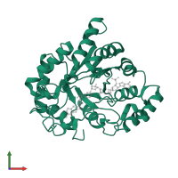 Aldo-keto reductase family 1 member B1 in PDB entry 2pdn, assembly 1, front view.