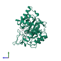 Aldo-keto reductase family 1 member B1 in PDB entry 2pdn, assembly 1, side view.