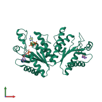 Homo dimeric assembly 1 of PDB entry 2pez coloured by chemically distinct molecules, front view.