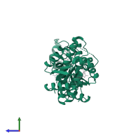 Bifunctional 3'-phosphoadenosine 5'-phosphosulfate synthase 1 in PDB entry 2pez, assembly 1, side view.