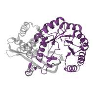 The deposited structure of PDB entry 2pgw contains 8 copies of Pfam domain PF13378 (Enolase C-terminal domain-like) in Mandelate racemase/muconate lactonizing enzyme C-terminal domain-containing protein. Showing 1 copy in chain C.