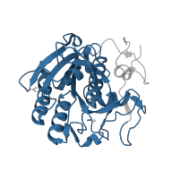 The deposited structure of PDB entry 2pq2 contains 1 copy of Pfam domain PF00082 (Subtilase family) in Proteinase K. Showing 1 copy in chain A.