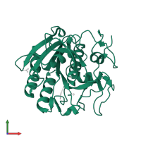 Proteinase K in PDB entry 2pq2, assembly 1, front view.