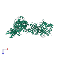 Actin, alpha skeletal muscle in PDB entry 2q36, assembly 1, top view.