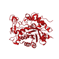 The deposited structure of PDB entry 2q3r contains 1 copy of CATH domain 3.20.20.70 (TIM Barrel) in 12-oxophytodienoate reductase 1. Showing 1 copy in chain A.