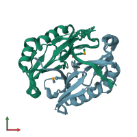 PDB entry 2q48 coloured by chain, ensemble of 8 models, front view.