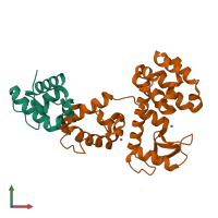 Hetero dimeric assembly 2 of PDB entry 2qb0 coloured by chemically distinct molecules, front view.