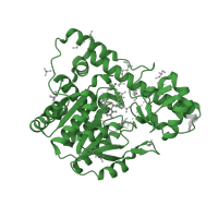 The deposited structure of PDB entry 2qb2 contains 1 copy of Pfam domain PF00155 (Aminotransferase class I and II) in Aspartate aminotransferase. Showing 1 copy in chain A.