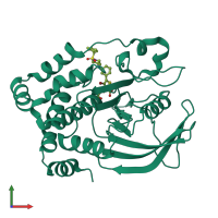 PDB entry 2qbp coloured by chain, front view.