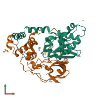 PDB entry 2qdy coloured by chain, front view.