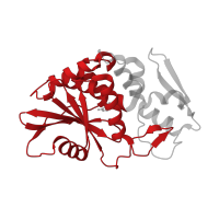 The deposited structure of PDB entry 2qet contains 1 copy of CATH domain 3.40.420.10 (Ricin (A subunit); domain 1) in Ribosome-inactivating protein PD-L3/PD-L4. Showing 1 copy in chain A.