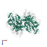 Cytochrome b in PDB entry 2qjy, assembly 3, top view.