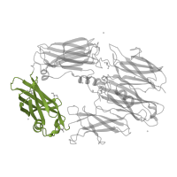 The deposited structure of PDB entry 2qki contains 2 copies of CATH domain 2.60.40.1940 (Immunoglobulin-like) in Complement C3 beta chain. Showing 1 copy in chain D.