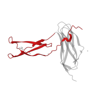 The deposited structure of PDB entry 2qki contains 2 copies of CATH domain 2.20.130.20 (S-adenosyl-L-methionine-dependent methyltransferases) in Complement C3c alpha' chain fragment 1. Showing 1 copy in chain E.