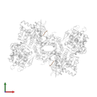 protein targeting to glycogen - GL in PDB entry 2qll, assembly 1, front view.