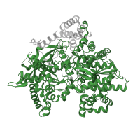 The deposited structure of PDB entry 2qn9 contains 1 copy of Pfam domain PF00343 (Carbohydrate phosphorylase) in Glycogen phosphorylase, muscle form. Showing 1 copy in chain A.