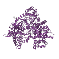 The deposited structure of PDB entry 2qn9 contains 1 copy of SCOP domain 53766 (Oligosaccharide phosphorylase) in Glycogen phosphorylase, muscle form. Showing 1 copy in chain A.