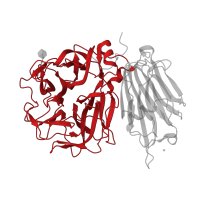 The deposited structure of PDB entry 2qqw contains 1 copy of CATH domain 2.115.10.20 (Tachylectin-2; Chain A) in Beta-fructofuranosidase, insoluble isoenzyme CWINV1. Showing 1 copy in chain A.