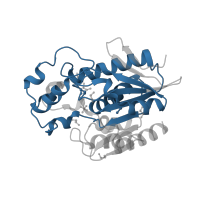 The deposited structure of PDB entry 2qru contains 1 copy of Pfam domain PF07859 (alpha/beta hydrolase fold) in Alpha/beta hydrolase fold-3 domain-containing protein. Showing 1 copy in chain A.