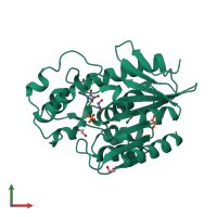 PDB entry 2qru coloured by chain, front view.