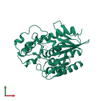 Alpha/beta hydrolase fold-3 domain-containing protein in PDB entry 2qru, assembly 1, front view.
