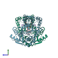 PDB entry 2qw8 coloured by chain, side view.