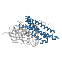 The deposited structure of PDB entry 2r0n contains 1 copy of CATH domain 1.20.140.10 (Butyryl-CoA Dehydrogenase, subunit A; domain 3) in Glutaryl-CoA dehydrogenase, mitochondrial. Showing 1 copy in chain A.